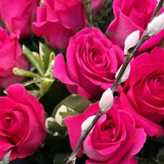 A Dozen Pink Roses