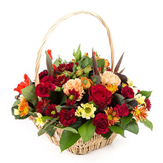 Warm Basket