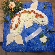 Koi Carp Funeral Tribute