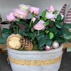 Pink Christmas Planter