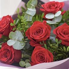 Half Dozen Red Roses