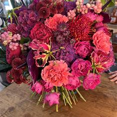 Sumptuous Reds