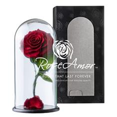 Forever Rose Dome
