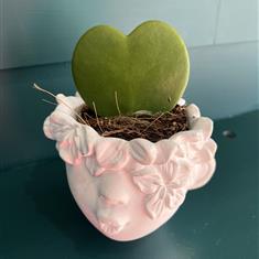 Heart In The Head