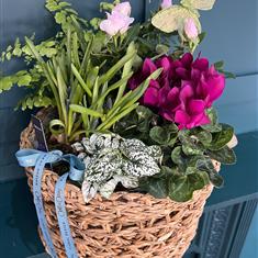 Large Planted Basket 