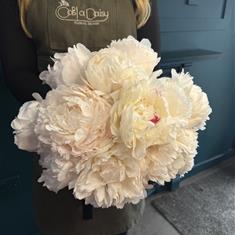 Celestial Bloom