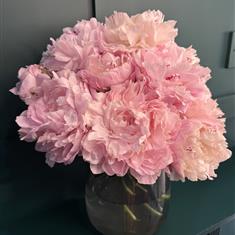Ethereal Peony In A Vase
