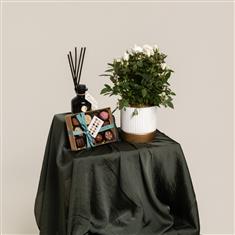 Rose Infuser Gift Set 