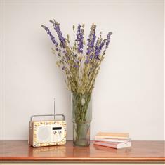 Dried Delphinium Bunch