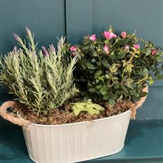 Lavender And Rose Tin
