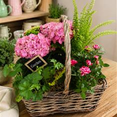 Rustic Planted Basket 