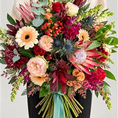 Celebration of Colour