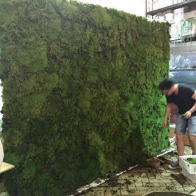 fwthumb171-flowerwall-build.jpg