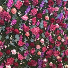 fwthumb174-flowerwall-close.jpg