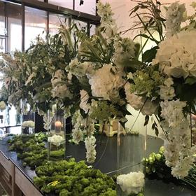 fwthumb20-white-hudrangea.jpg